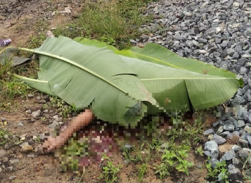 Pemkot Palembang Santuni Keluarga Pegawai DLHK Tewas Ditabrak Kereta 