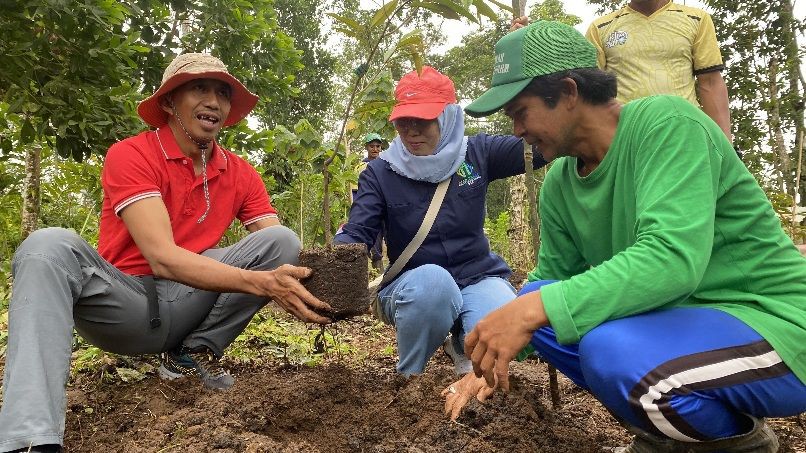 Reboisasi di Bali untuk Tangani  Krisis Air Tanah
