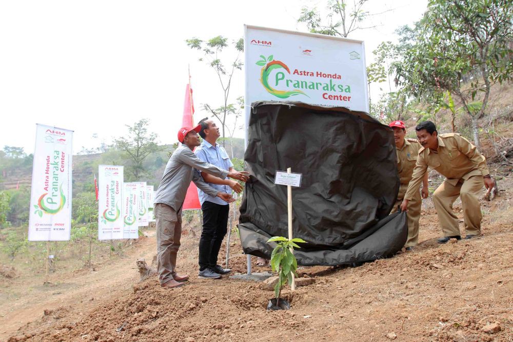 Tanam Ribuan Pohon, Honda Perkuat Upaya Penyerapan Karbon