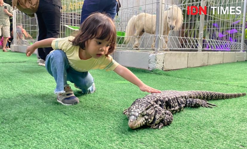 Seru, Ada Animal Xperience di Delipark Mall Medan Mulai Besok