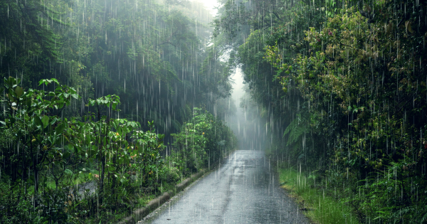 Krisis Iklim Bisa Picu Bencana Meteorologi dan Krisis Pangan di Banten