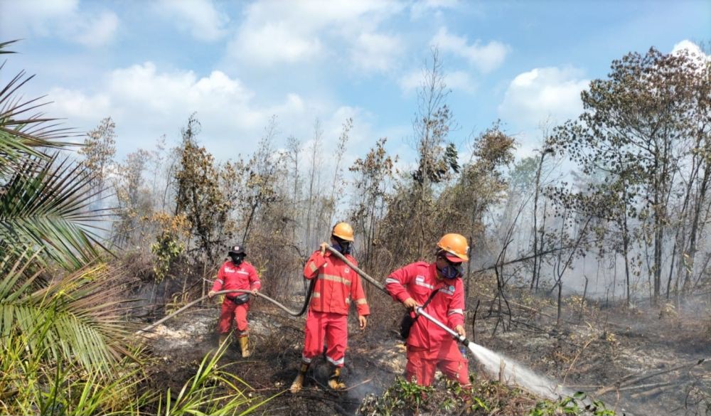 4 Hektare Lahan Gambut di Sungai Rengit Banyuasin Terbakar