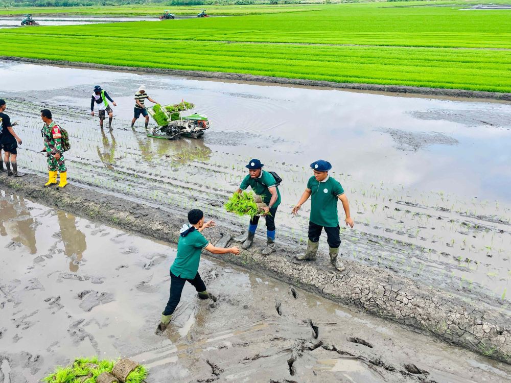 Jokowi Jadwalkan Pembangunan Fasilitas RSUD Bob Bazar September 2024