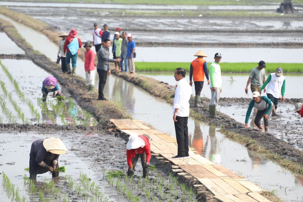 Wamentan Minta Bantuan Kodam Diponegoro Tambah Areal Tanam saat Kemarau