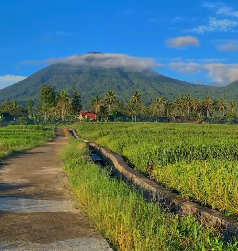 4 Lokasi Estetik Lampung Viral di Media Sosial, Pernah Datang?