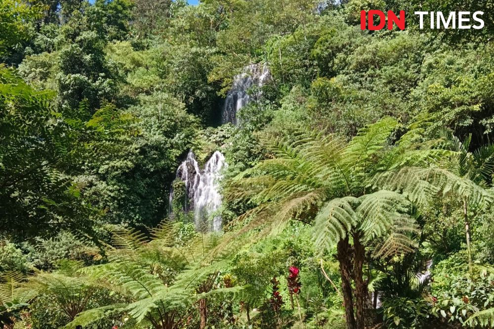 Potret dan Tiket Masuk Air Terjun Banyumala di Buleleng