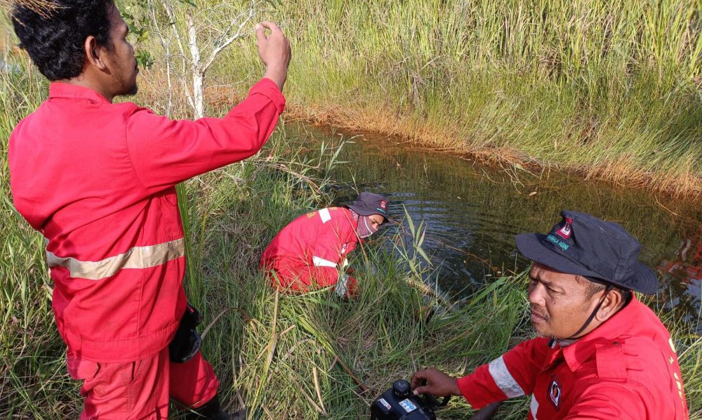 1,3 Hektare Lahan Mineral Terbakar di Ogan Ilir Berhasil Dipadamkan