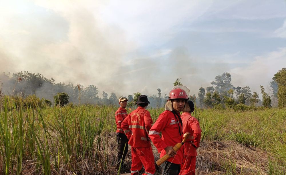 15 Hektare Lahan di Areal Perkebunan Sawit  Ogan Ilir Terbakar