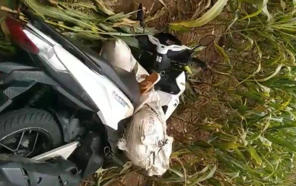 Geger! Mayat Wanita dalam Karung di Kebun Jagung Korban Pembunuhan