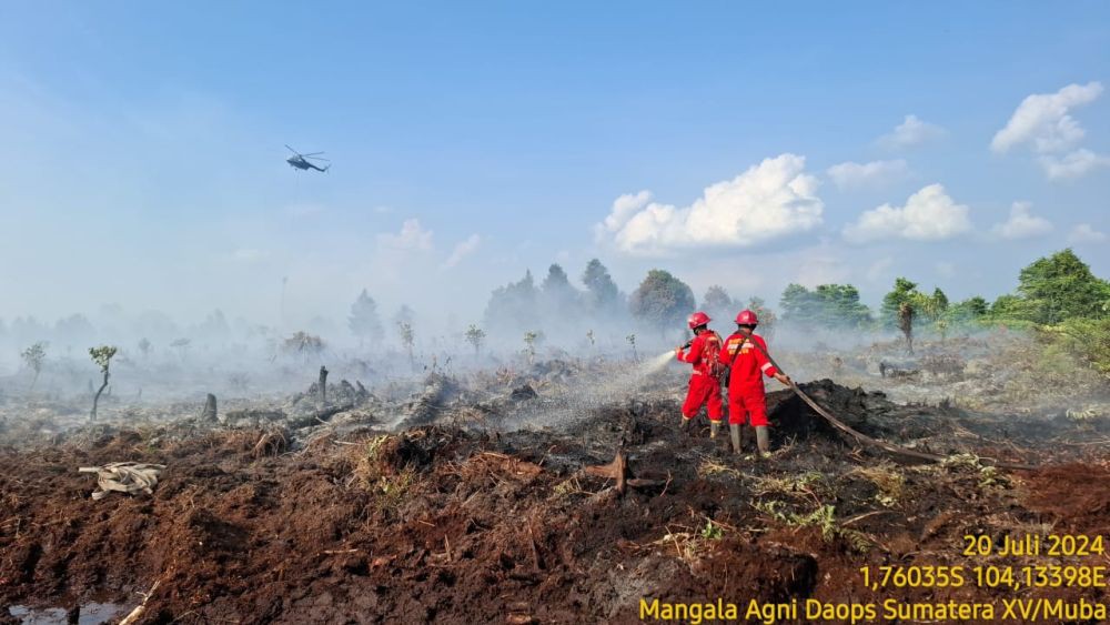 Lahan Terbakar di Sumsel pada Agustus Melonjak, Terluas di Muba