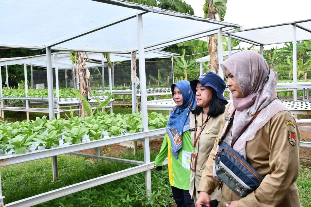 Pemkot Semarang Petakan Lahan Tidur untuk Urban Farming