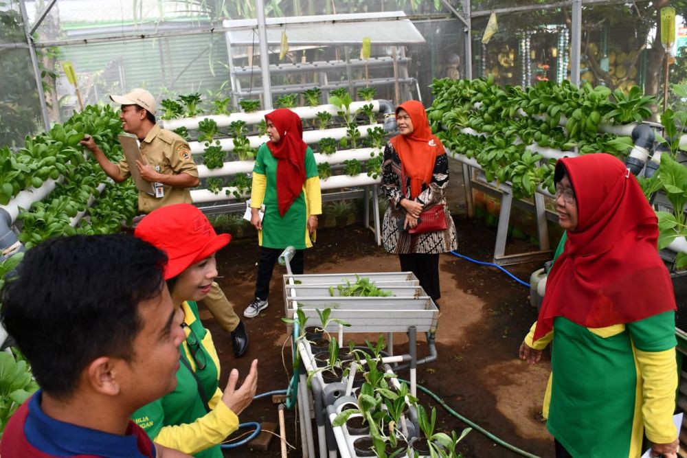 Uji Coba Makan Siang Gratis dan Bergizi di Semarang Mulai 15 Agustus