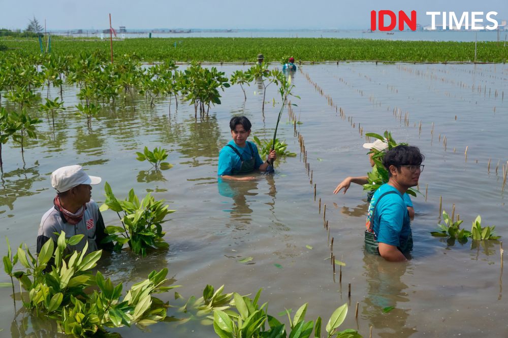 Lokakarya Mangrove BLDF di Semarang: Ajak Anak Muda Selamatkan Bumi