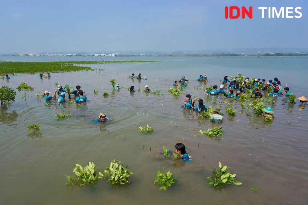 Lokakarya Mangrove BLDF di Semarang: Ajak Anak Muda Selamatkan Bumi