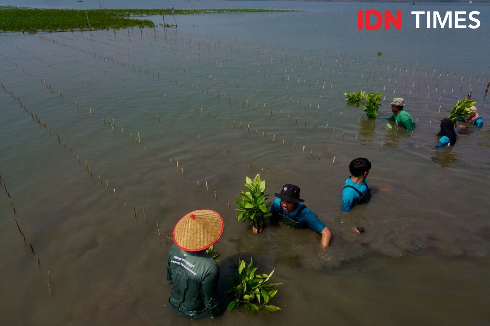 Lokakarya Mangrove BLDF di Semarang: Ajak Anak Muda Selamatkan Bumi