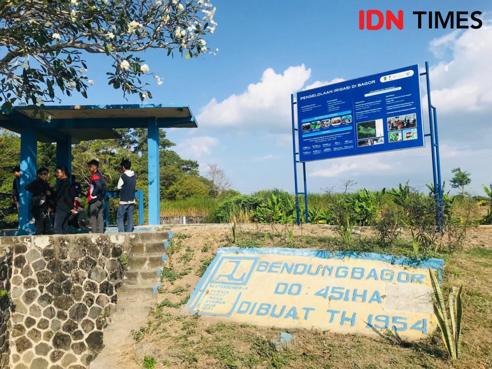 Cerita Petani di Klaten yang Terapkan Pertanian Ramah Lingkungan