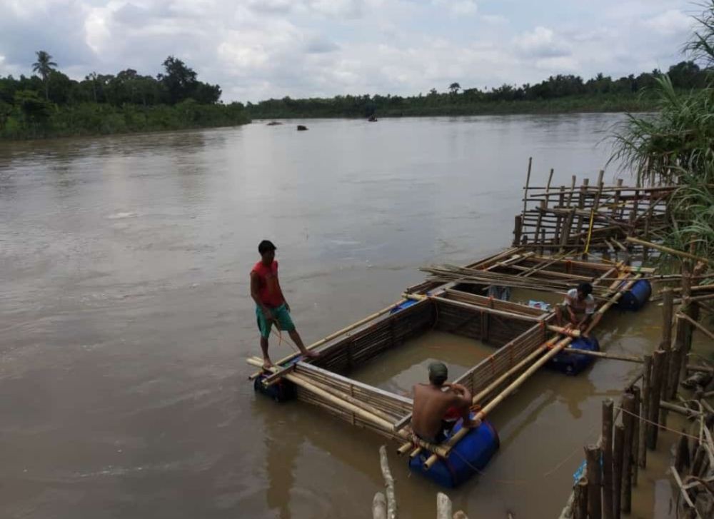 Ikan Keramba Warga Banyak Mati, Diskan OKI Sebut Faktor Panas Ektrim