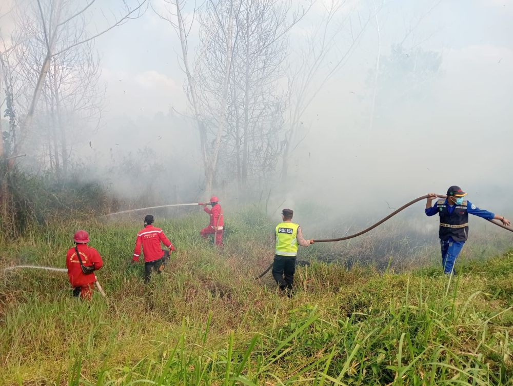 Kebakaran Lahan Sebabkan Tol Palindra Km 16 Tertutup Asap