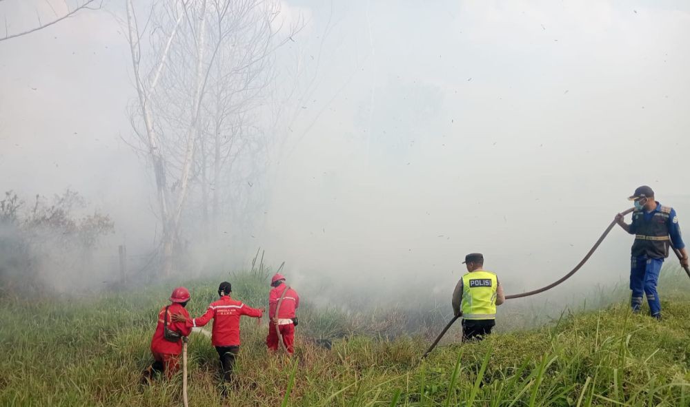 Kebakaran Lahan Sebabkan Tol Palindra Km 16 Tertutup Asap