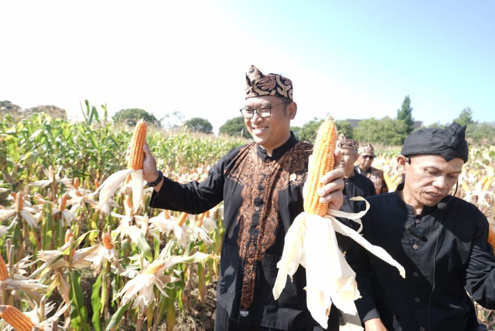 Wamentan Dorong Swasembada Pangan, Kejar Target Presiden Baru 