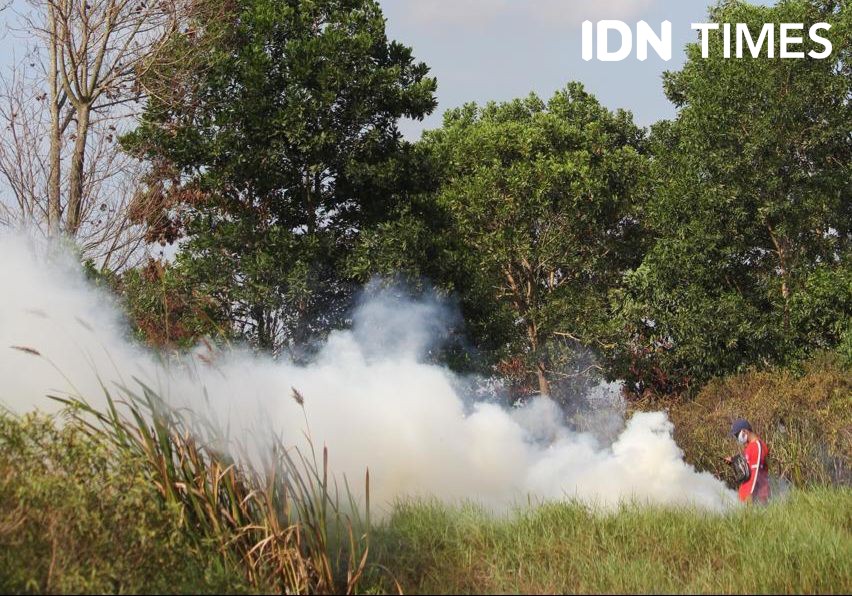 Udara Palembang Tidak Sehat Akibat Kebakaran Lahan Gambut di OKI