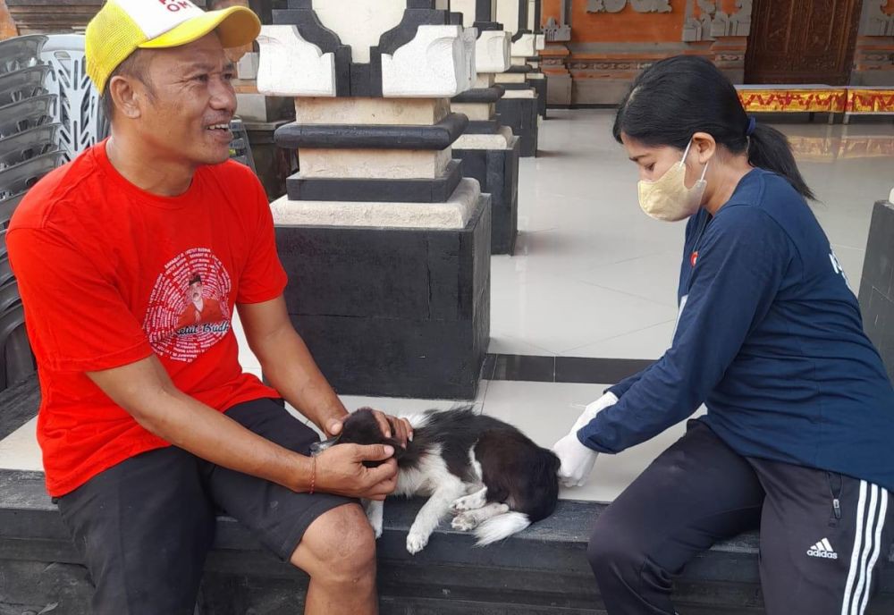 Cegah Rabies, 200 Kucing dan Anjing di Semarang Ikut Vaksinasi Gratis