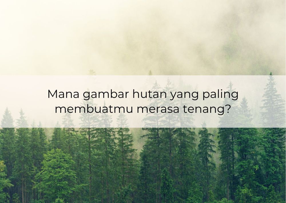 [QUIZ] Dari Gambar Hutan, Kami Tahu Apa yang Membuatmu Tenang