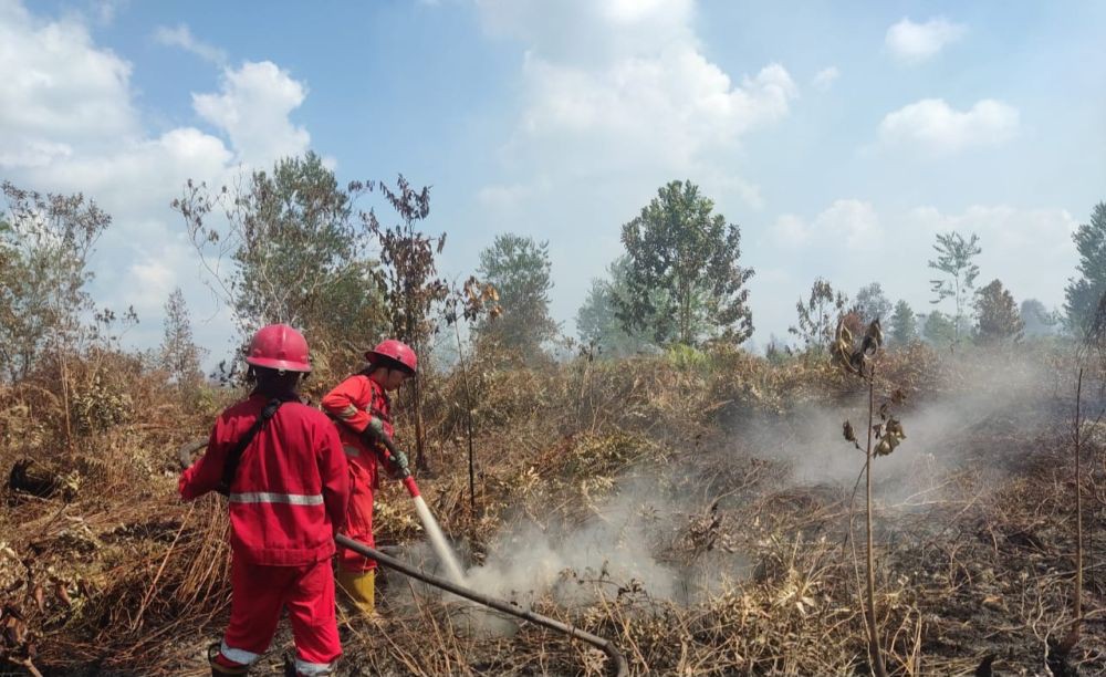 Udara Palembang Tidak Sehat Akibat Kebakaran Lahan Gambut di OKI