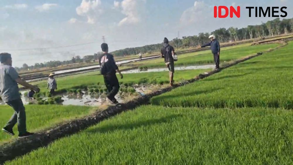 Diduga Cemburu Buta, Pria Ngawi Bacok Mantan Istri di Sawah