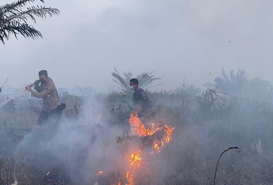 799 Hektare Hutan dan Lahan di Lampung Terbakar Sejak Awal 2024