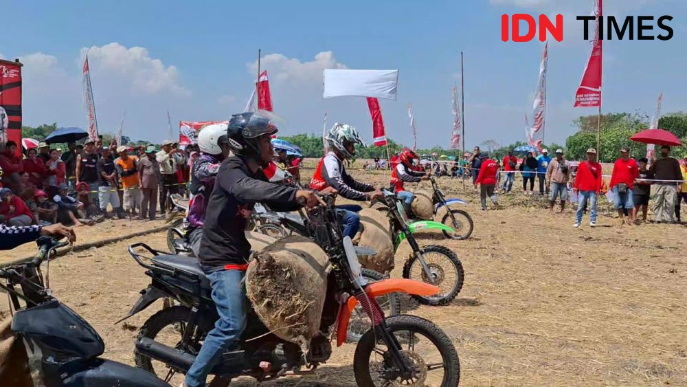 Keseruan Balapan Ojek Gabah Peringatan HUT RI Ke-79 di Ngawi