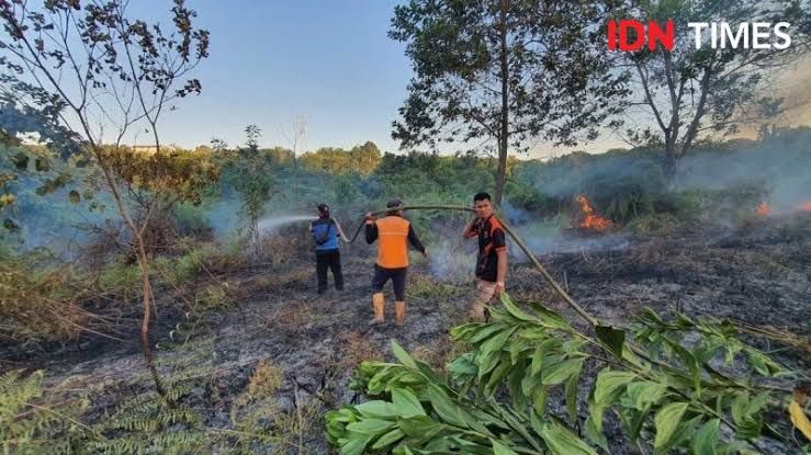 Banjarmasin Belum Berstatus Siaga Karhutla di Tengah Kemarau Panjang 