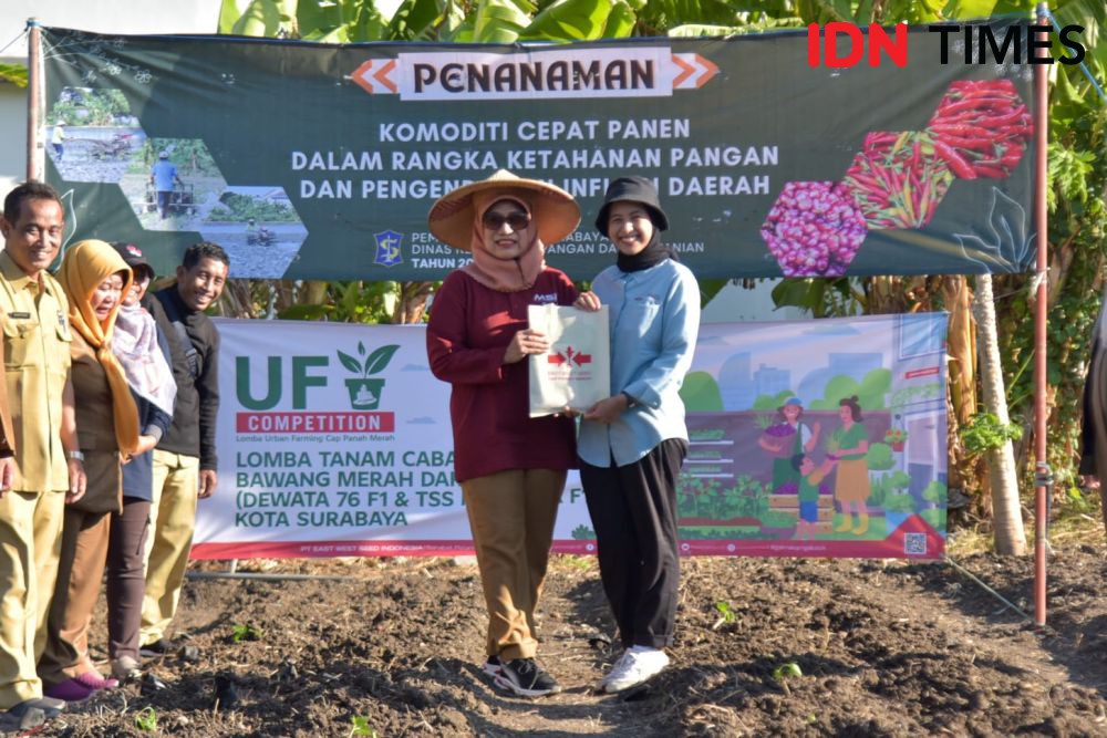 60 Poktan Urban Farming Surabaya Tanam Cabai dan Bawang Serentak