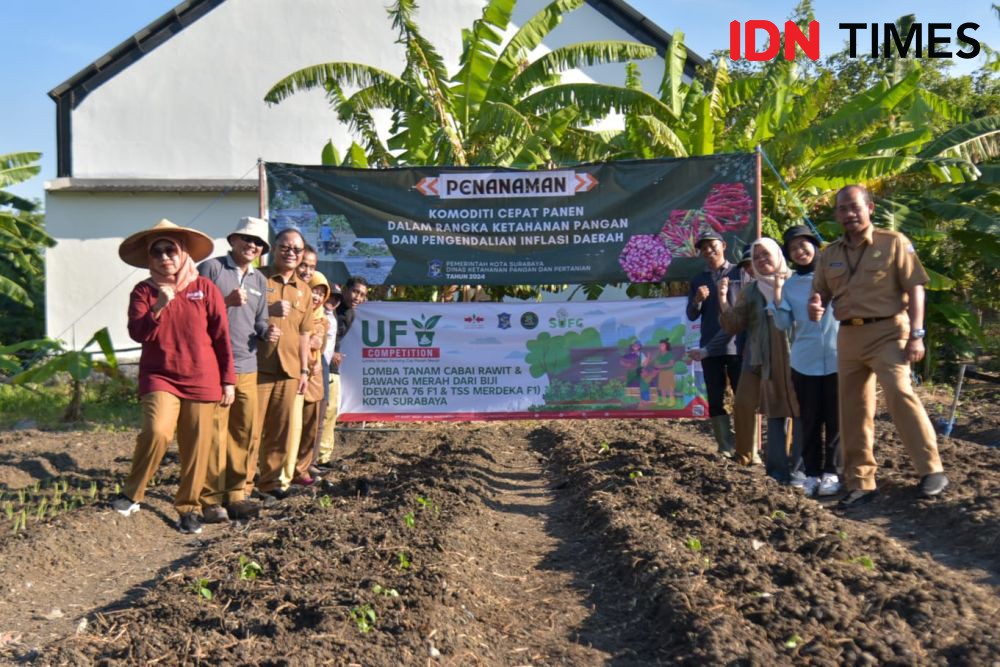 60 Poktan Urban Farming Surabaya Tanam Cabai dan Bawang Serentak