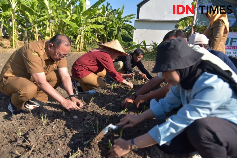 60 Poktan Urban Farming Surabaya Tanam Cabai dan Bawang Serentak