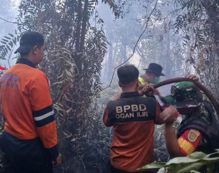 308 Ha Lahan Gambut di Sumsel Terbakar