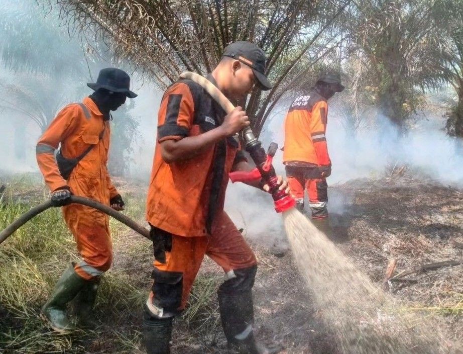 Penanganan Karhutla di Sumsel Terbantu Guyuran Hujan