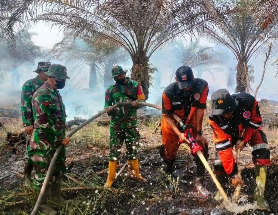 308 Ha Lahan Gambut di Sumsel Terbakar