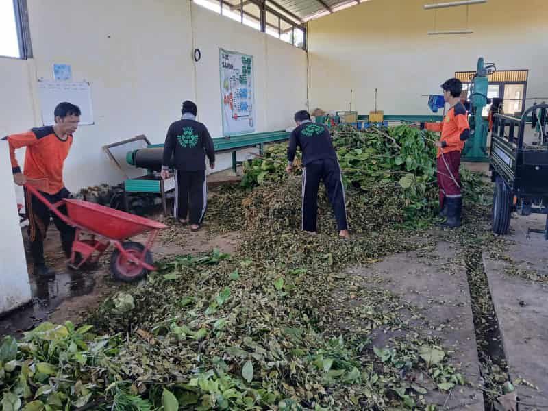 Banjarmasin Budidayakan Maggot untuk Manfaatkan Sampah Organik