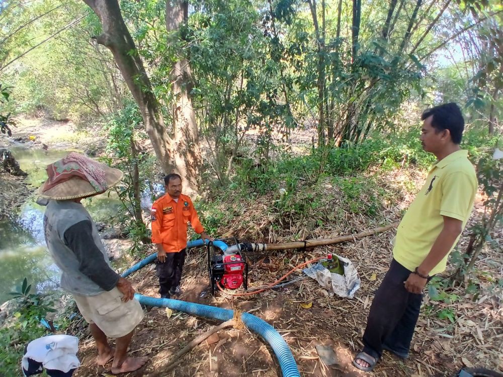 Nestapa Petani Cirebon, Terancam Gagal Panen di Tengah Kemarau