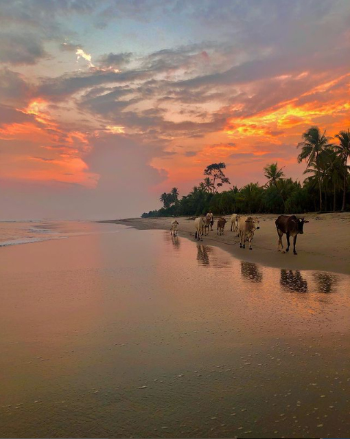 Mahasiswi Unila Raih Perunggu di Malaysia, Angkat Wisata Pantai Krui