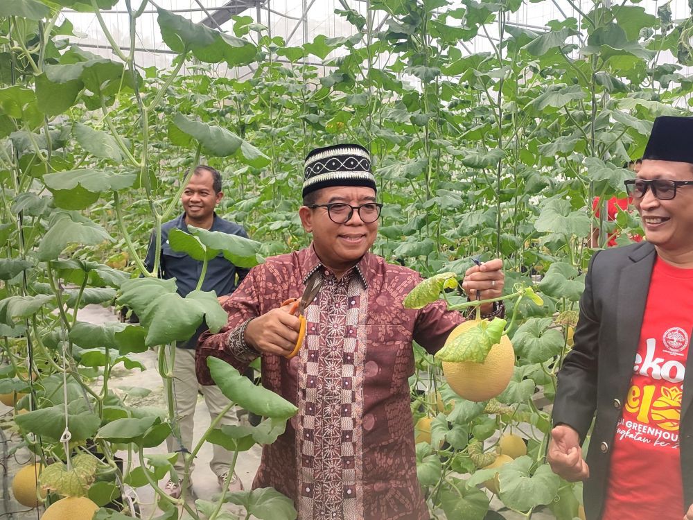 Pj Gubernur Lampung Resmikan Sekolah Melon Berbasis IoT di Pesantren