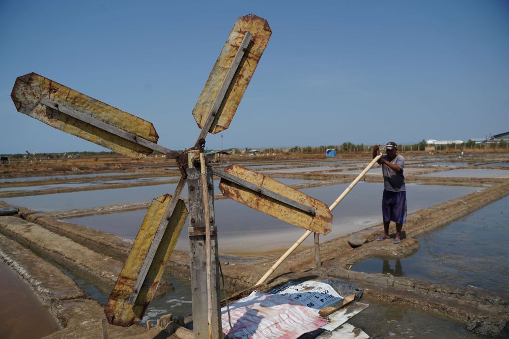 Petambak Garam di Cirebon Bertambah, tapi Harga Malah Anjlok