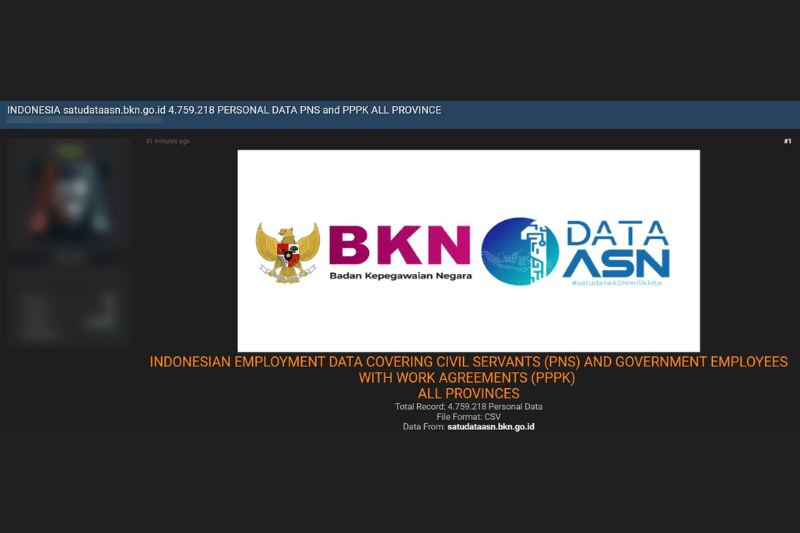 BKN Gaet BSSN-Kemenkominfo Investigasi Kebocoran Data ASN