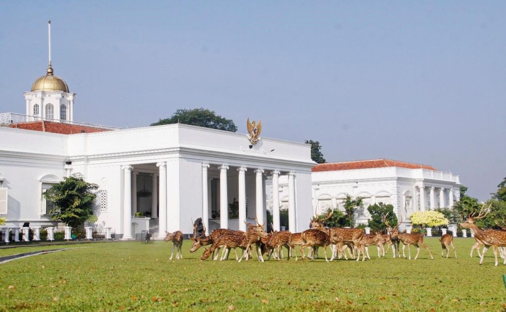 Profil Istana Bogor Yang Disebut Jokowi Bau Kolonialisme Belanda