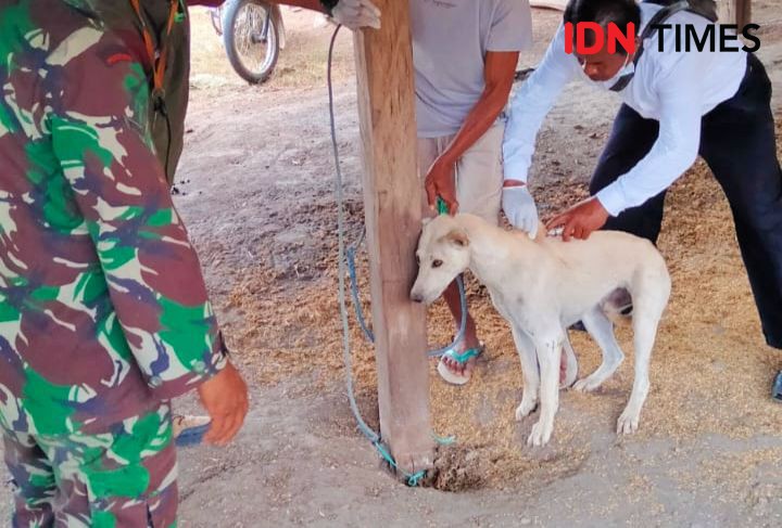 6 Lokasi Fasyankes di Palembang Sediakan Vaksin Rabies, Cek di Sini!