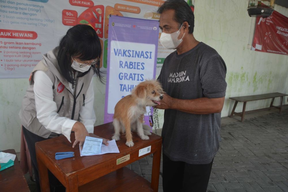 6 Lokasi Fasyankes di Palembang Sediakan Vaksin Rabies, Cek di Sini!