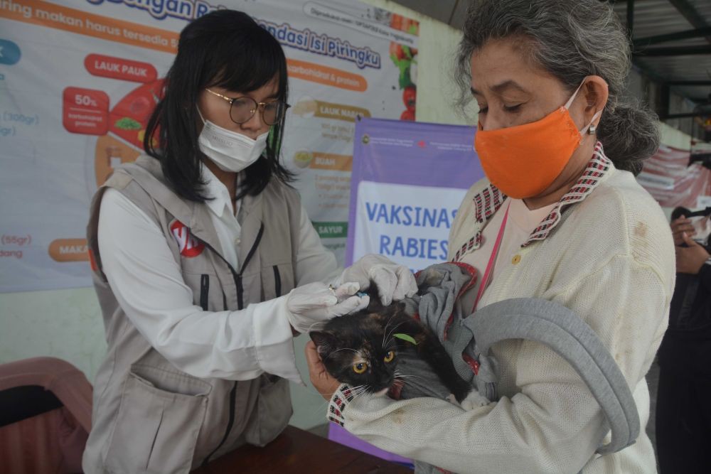 Cegah Rabies, 200 Kucing dan Anjing di Semarang Ikut Vaksinasi Gratis