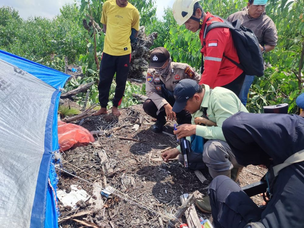 Ngeri! Petani di Suoh Lambar Tewas Diserang Harimau, Tubuh Terpisah