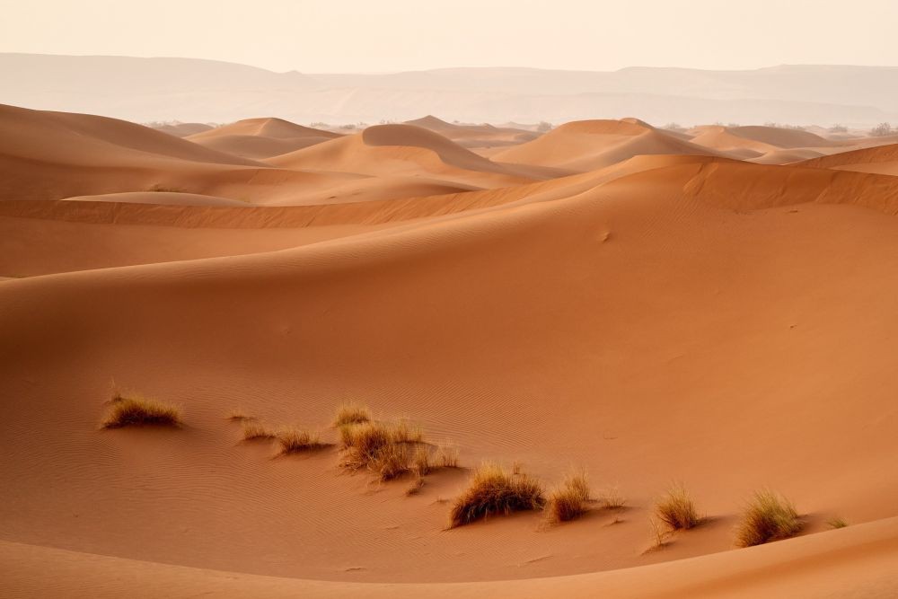 Kenapa Gurun Sahara Semakin Luas?